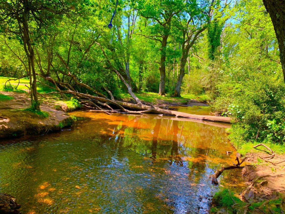 Forest Haven Sway Luaran gambar