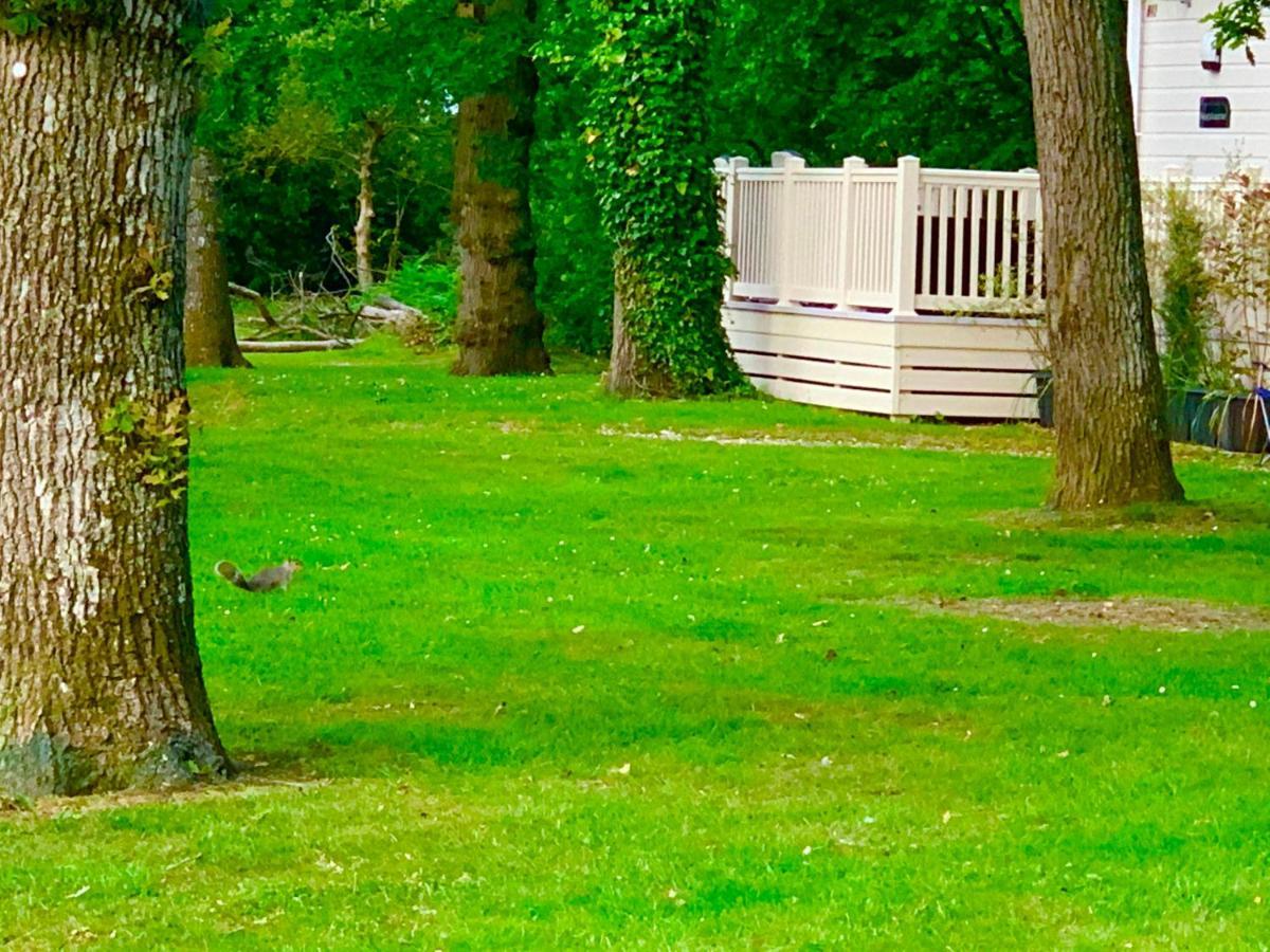 Forest Haven Sway Luaran gambar