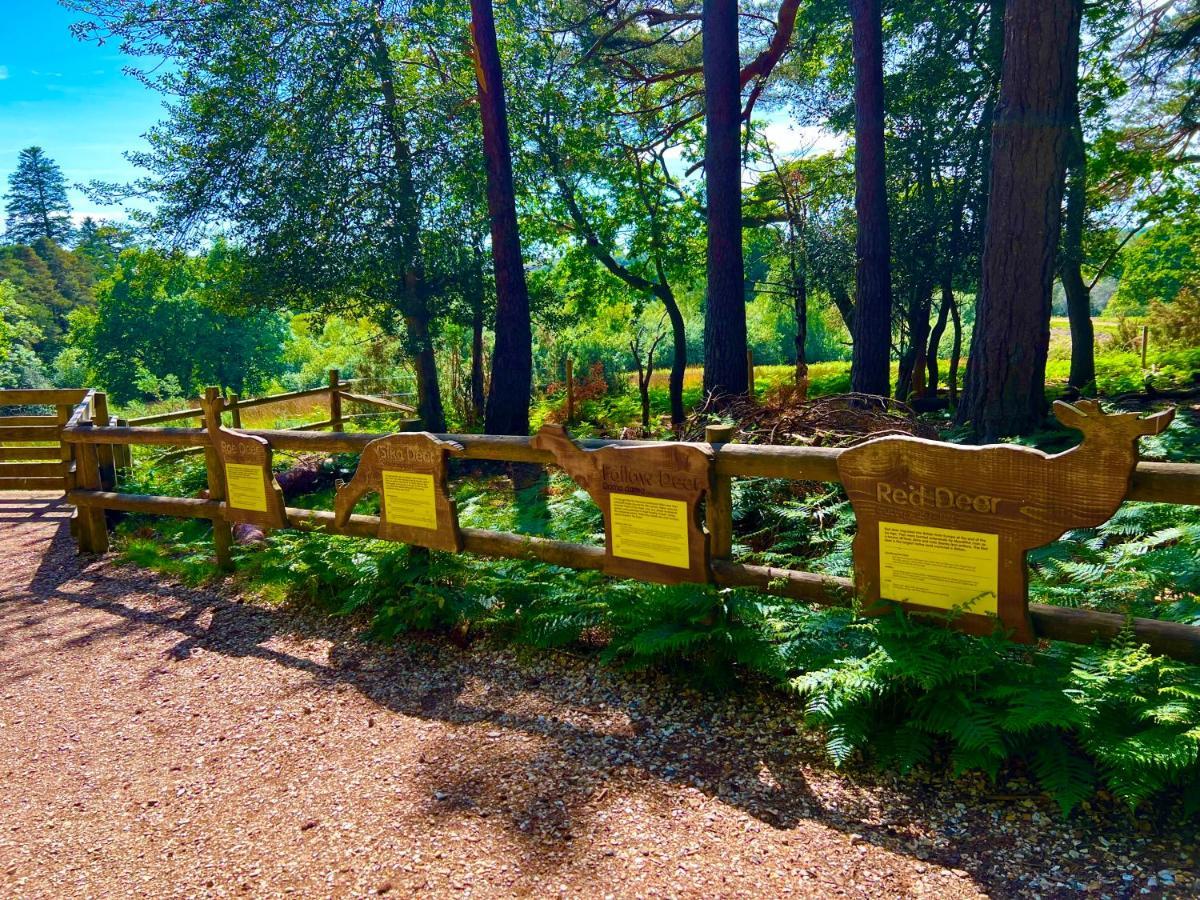 Forest Haven Sway Luaran gambar